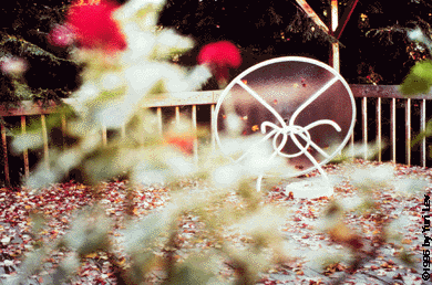 End of Summer